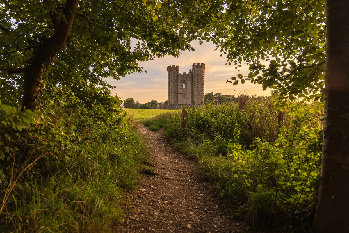 A hidden view of Hiorne Tower framed by trees along a woodland path in Arundel, West Sussex