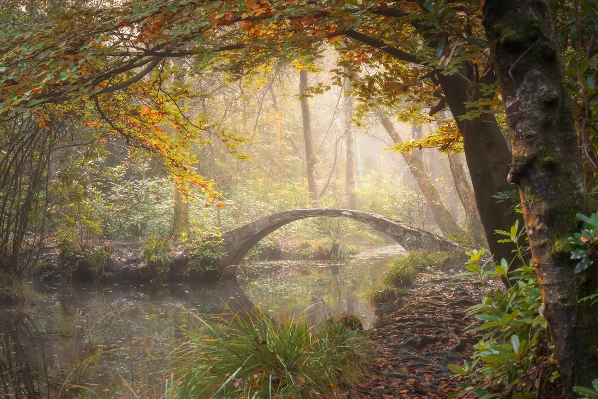 A small stone bridge in misty woodland at Storrington surrounded by autumn colour and reflected in still water